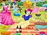 Jouer à Princesses picnic decoration