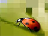 Jouer à Repixel animals