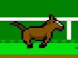 Jouer à Impossible horse