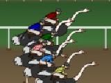 Jouer à Ostrich racer