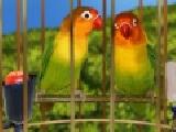 Jouer à Bird cage decor