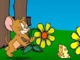 Jouer à Tom and jerry cheese hunt