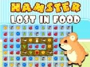 Jouer à Hamster Lost in Food