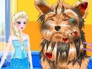 Jouer à Elsa's Dog Doctor