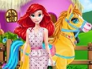Jouer à Pony Horse Caring