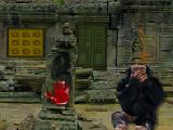 Jouer à Monkey temple escape