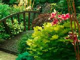 Jouer à Seasonal garden escape