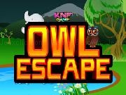 Jouer &agrave; Forest Owl Escape
