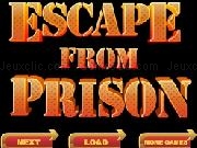 Jouer à Escape From Prison