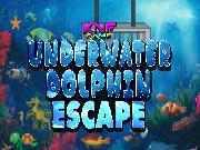 Jouer à Underwater Dolphin Escape