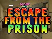 Jouer à Escape From The Prison
