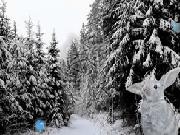 Jouer à Winter Forest Escape 3