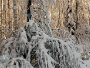 Jouer à Winter Forest Escape 1