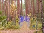 Jouer à Mysterious Autumn Forest Escape 4