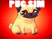 Jouer à Pug Simulator