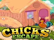 Jouer à Ena Chicks Escape