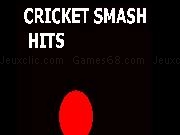 Jouer à Cricket Smash Hits