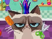 Jouer à Angry Cat Hair Salon