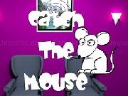 Jouer à Catch The Mouse