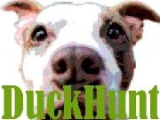 Jouer à DuckHunt