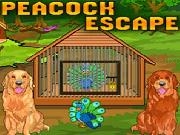 Jouer à Peacock Escape