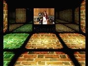 Jouer à Ludum Maze 30
