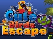 Jouer à Ena Cute Bird Escape