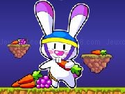 Jouer à Jumping Rabbit