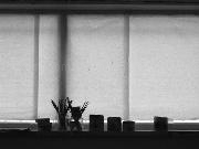 Jouer à 10 Gnomes 04: Foggy Flat