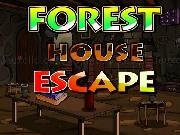 Jouer à Ena forest House Escape