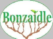 Jouer à Bonzaidle