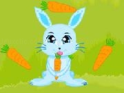 Jouer à Bunny Crazy Time