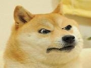 Jouer &agrave; Legendary Doge