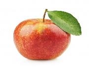 Jouer à The Apple Game: First 4