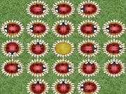 Jouer à Lady Bug Solitaire