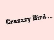 Jouer à Crazy Bird
