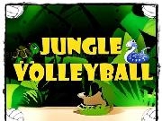 Jouer à Jungle Volleyball 2Player