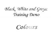Jouer à Black, White and Greys: Training Demo