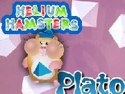 Jouer à Helium Hamsters Plato Web