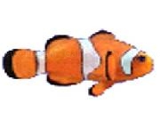 Jouer à A Small Fish In A Big Sea