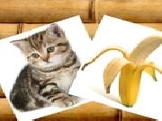 Jouer à KG : What do they eat?