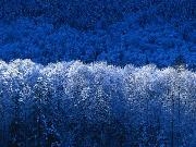 Jouer à Geografia pe cal-cu-laa-toooo-R!