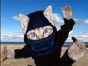 Jouer à a game about ninja laser shooting kittens
