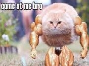 Jouer à COME AT ME BRO!