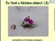 Jouer à To find hidden objects (2)