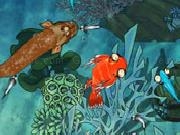 Jouer à Zippy Fish