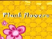 Jouer à PluckFlowers
