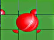 Jouer à Animation Puzzle-Cricket