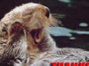 Jouer &agrave; How to make a crappy game in flash!