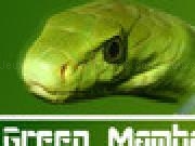 Jouer à Green Mamba